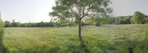 Panorama Tambourbad - Liegewiese